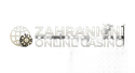 Zahraniční  Online  Casino